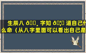 生辰八 🌸 字知 🦄 道自己什么命（从八字里面可以看出自己是什么命）